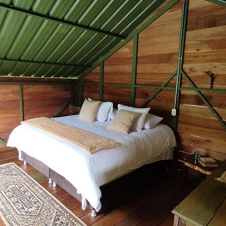 סאלנטו Ecohotel Pinohermoso Reserva Natural מראה חיצוני תמונה