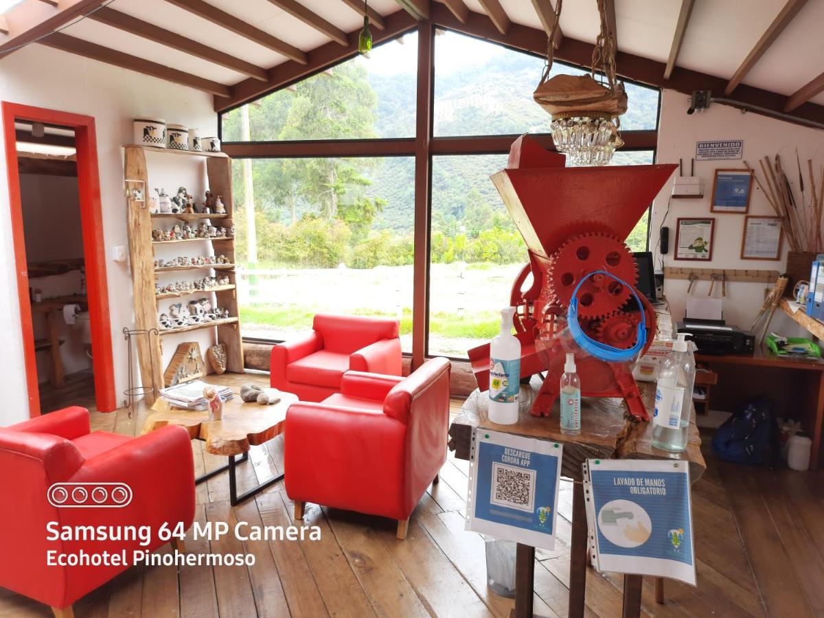 סאלנטו Ecohotel Pinohermoso Reserva Natural מראה חיצוני תמונה