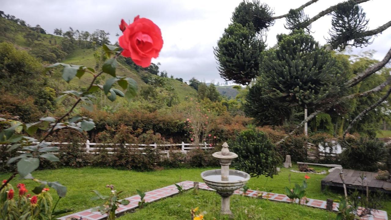 סאלנטו Ecohotel Pinohermoso Reserva Natural מראה חיצוני תמונה