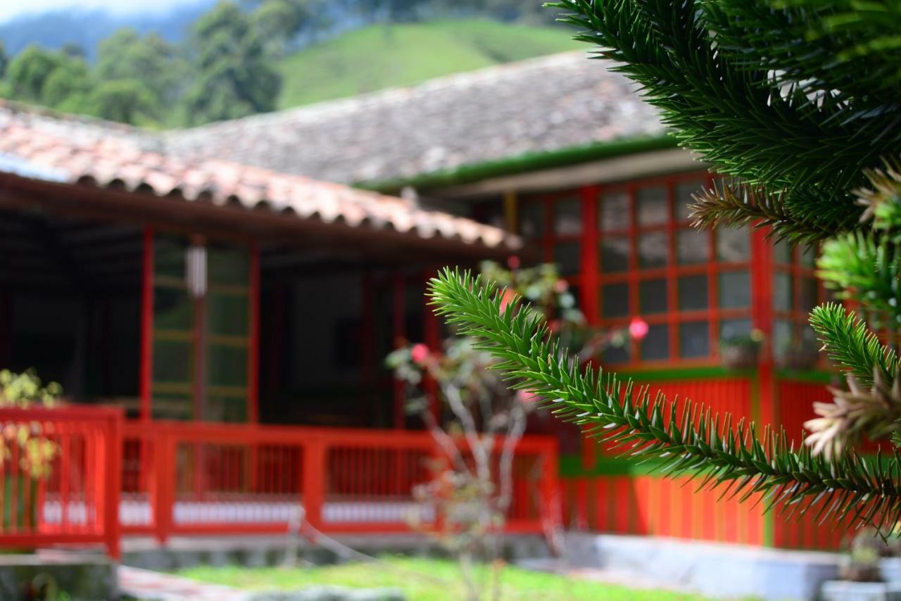 סאלנטו Ecohotel Pinohermoso Reserva Natural מראה חיצוני תמונה
