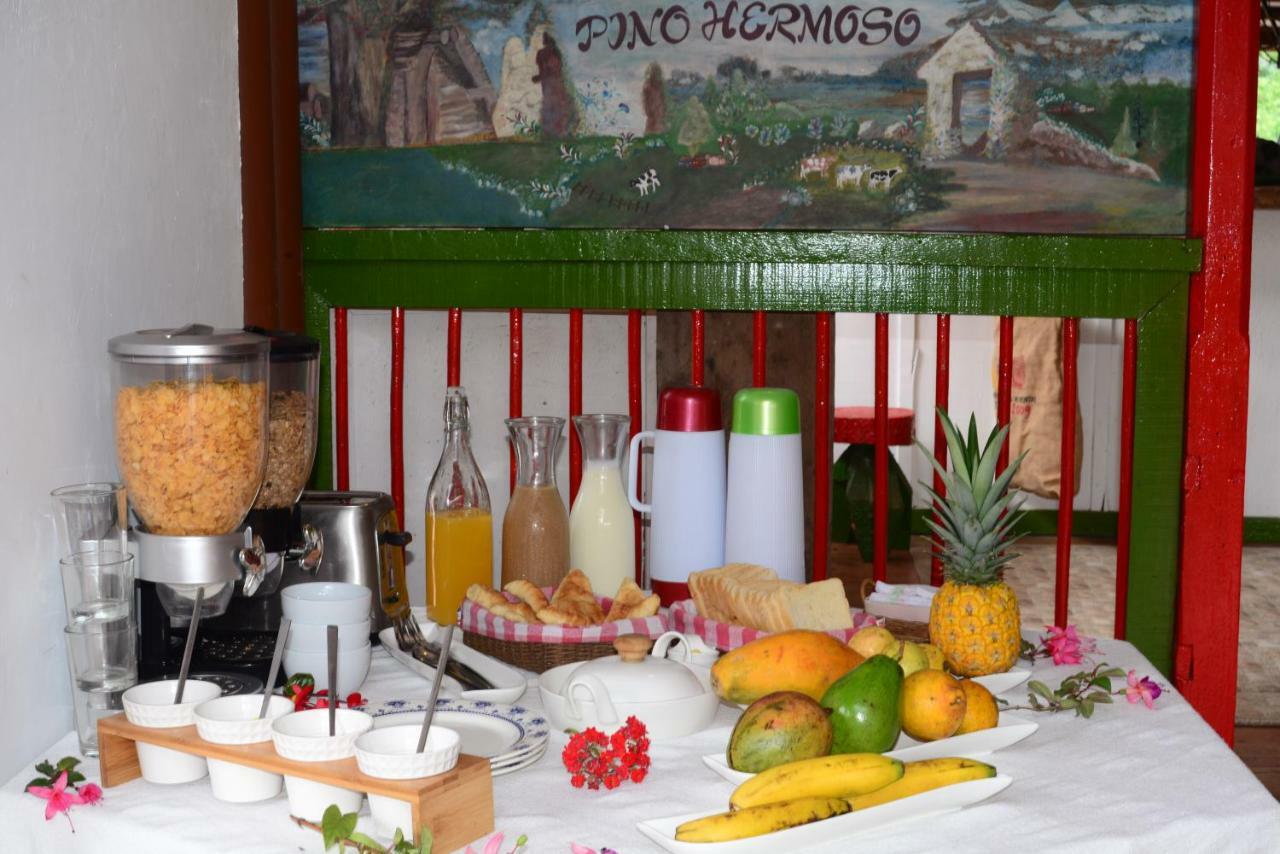 סאלנטו Ecohotel Pinohermoso Reserva Natural מראה חיצוני תמונה