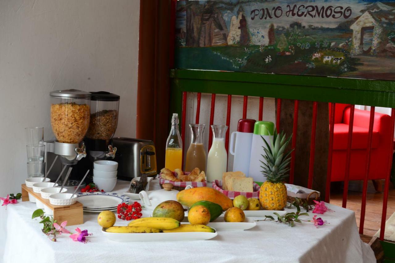 סאלנטו Ecohotel Pinohermoso Reserva Natural מראה חיצוני תמונה