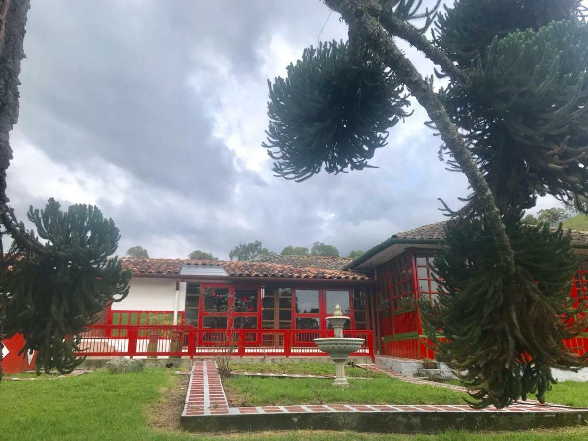 סאלנטו Ecohotel Pinohermoso Reserva Natural מראה חיצוני תמונה